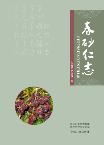 图片 9.png