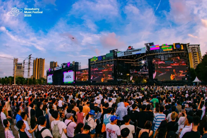 2025年超级草莓音乐节（来源：虎门镇宣教办）