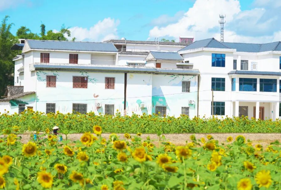 韶关 | 灵潭村：从“泥潭村”到“全国乡村治理示范村”