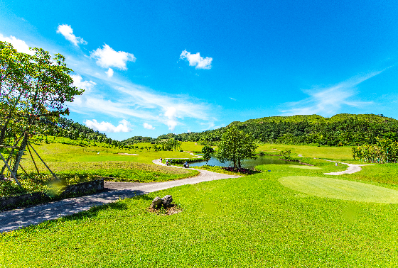 揭阳 | 五经富镇：山水茶香 激活绿色发展引擎
