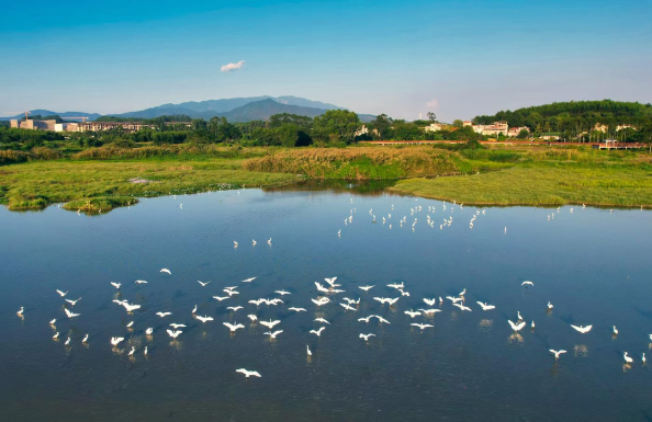 大埔围村：红色印记 绿美家园