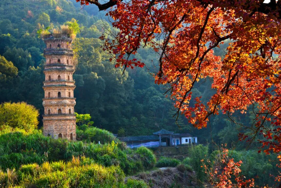 韶关 | 大塘镇：绿美古镇 烟火大塘