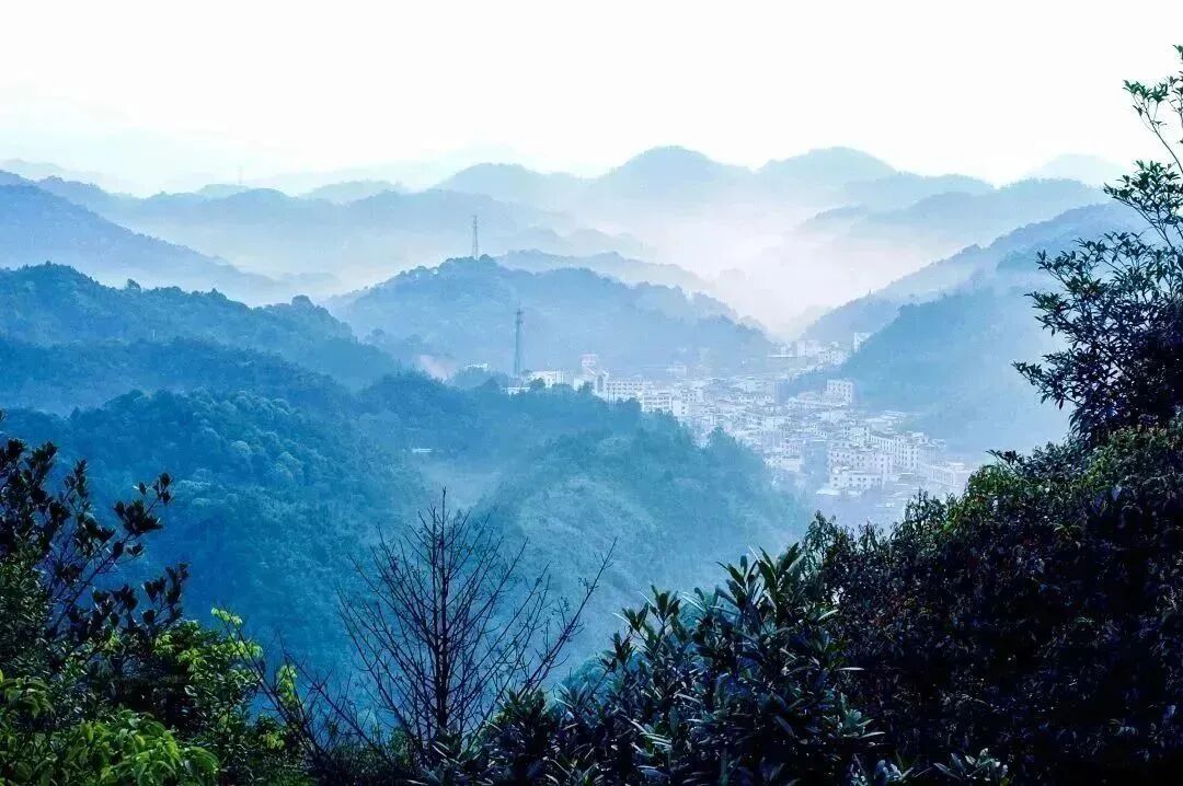 南昆绿、罗浮云，广东这座山水绿境藏不住了！